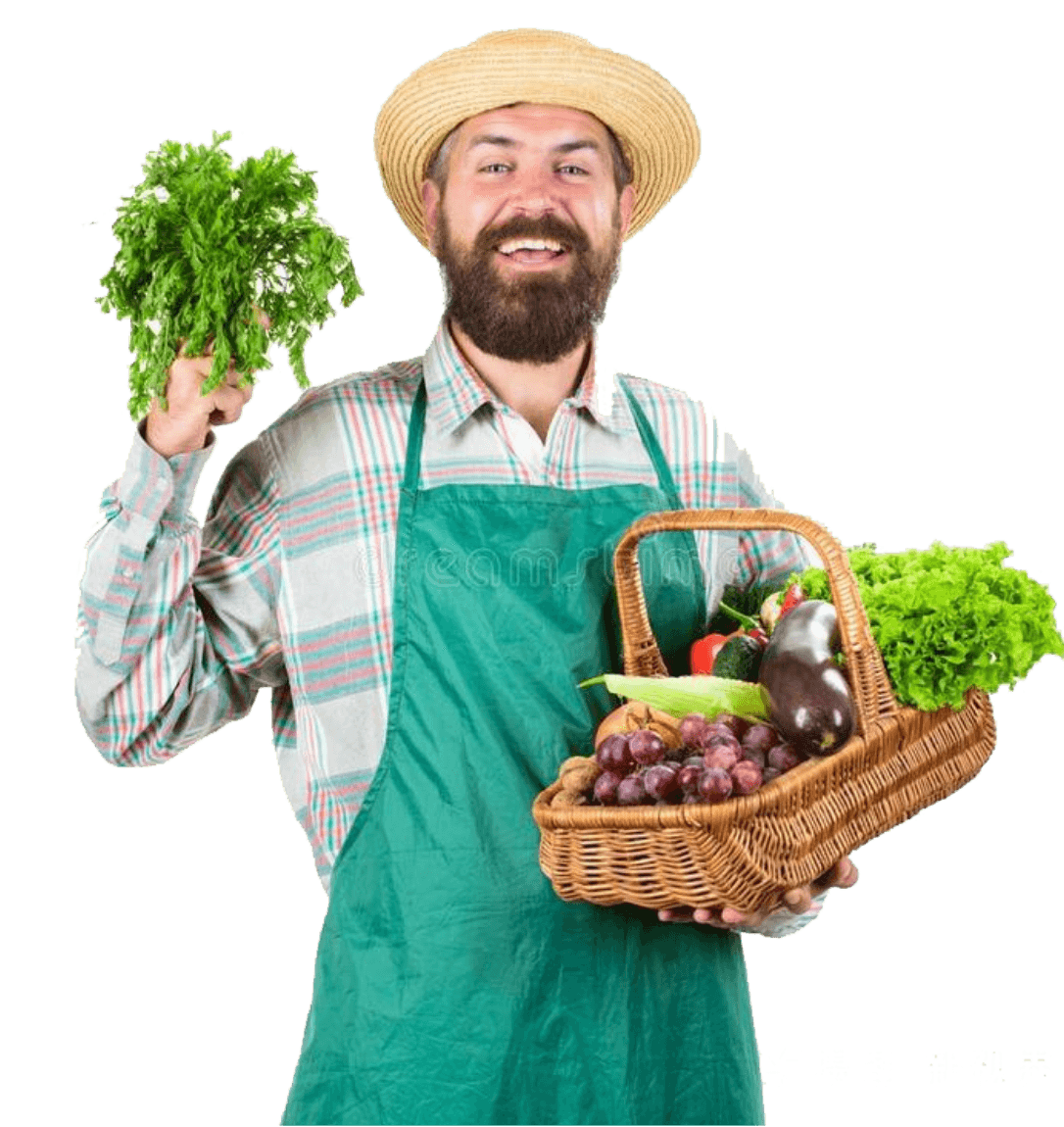 社區(qū)拼團(tuán)零售生鮮應(yīng)該怎么做
