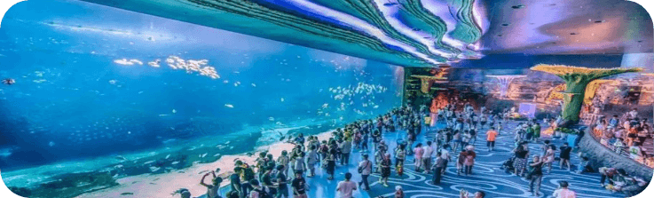 海洋館