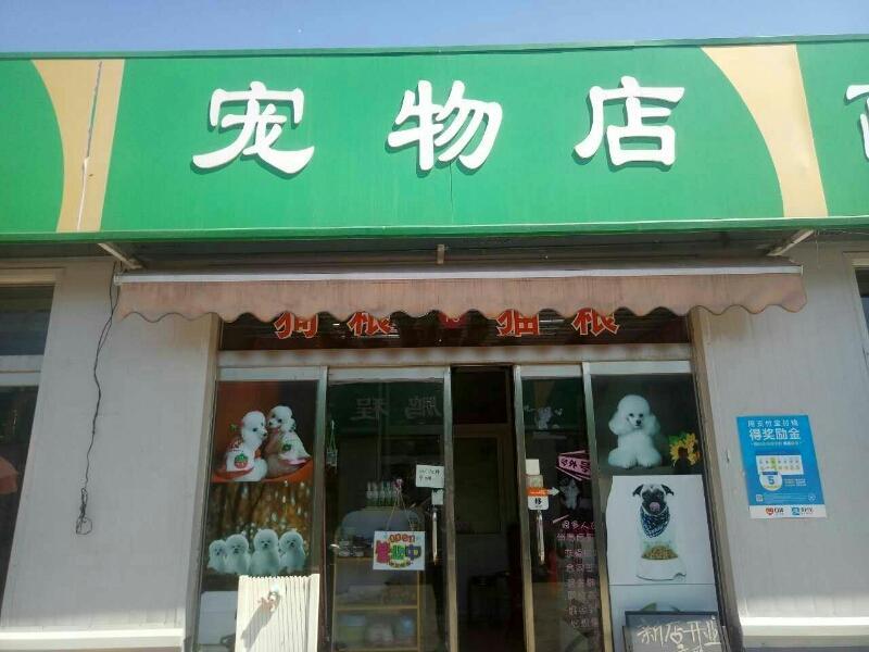 寵物店會員管理系統(tǒng)1